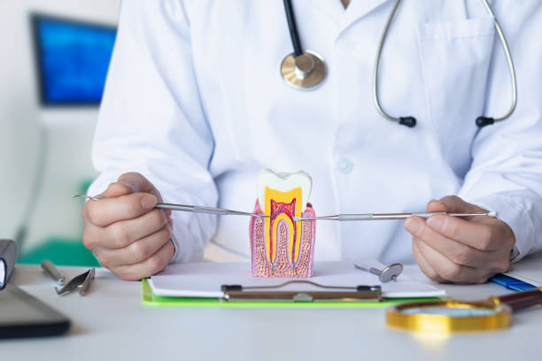 Professional Emergency Dental Service in MT